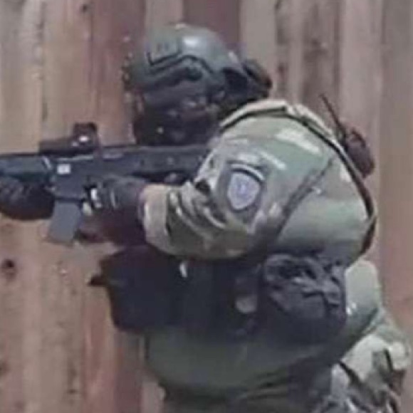 Meet your Posher, Max - Picture 1 of 1